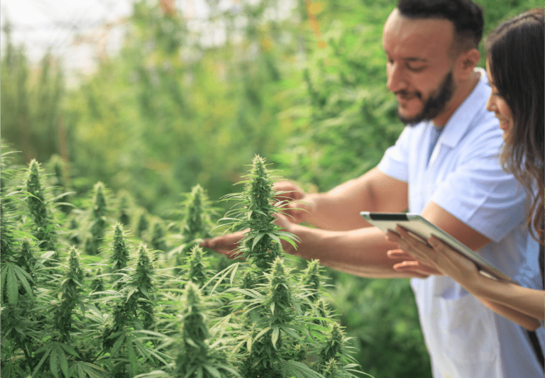 Quality and Care, Guaranteed